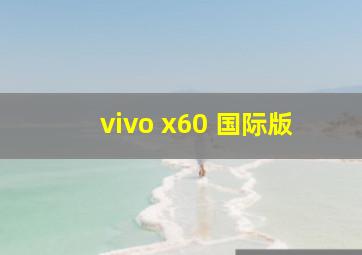 vivo x60 国际版